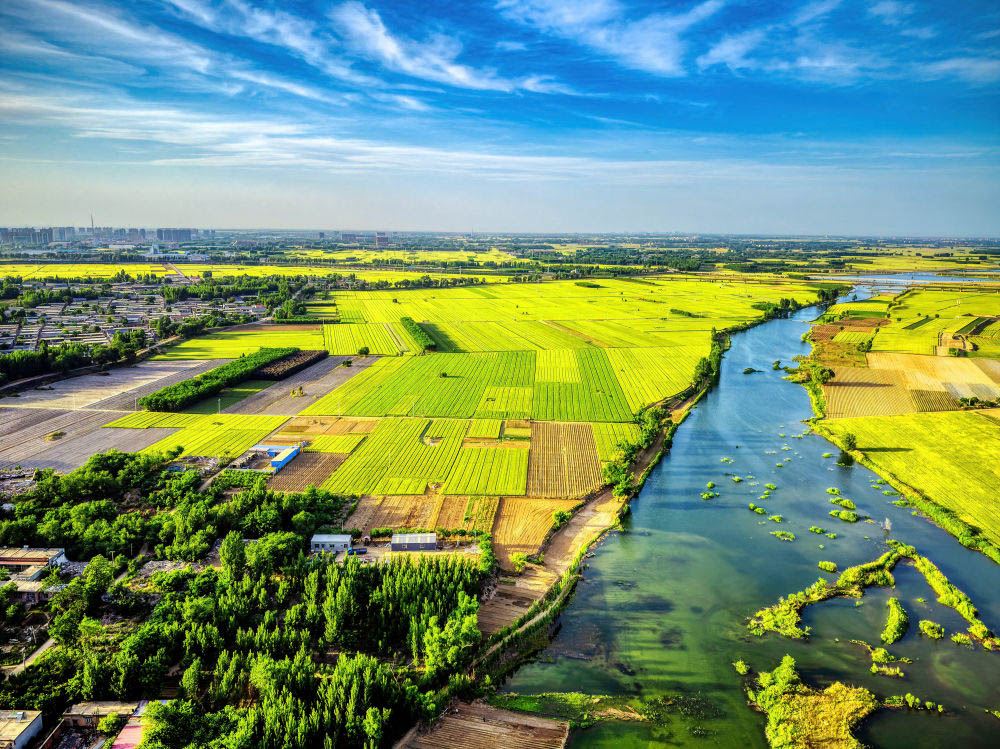 BETVLCTOR伟德在线