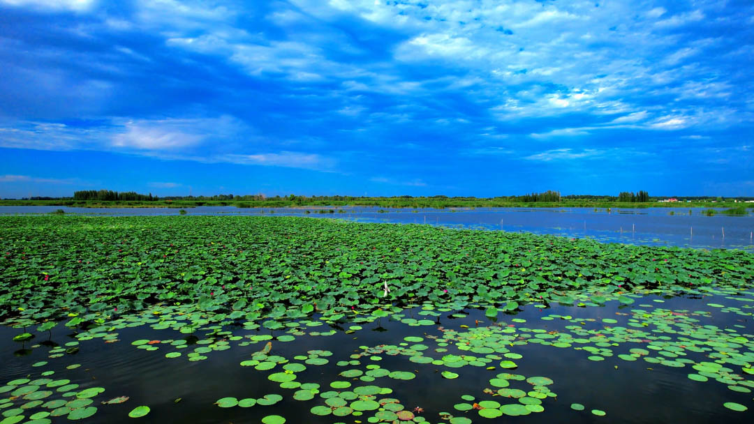 BETVLCTOR伟德在线