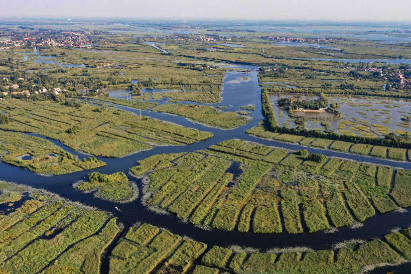 BETVLCTOR伟德在线