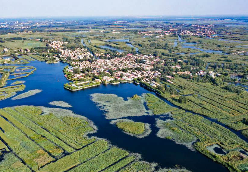 BETVLCTOR伟德在线